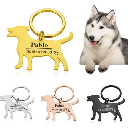 Personalized Pet Cat Dog ID Tag Collar Accessories Custom Engraved Necklace Chain Charm Supplies for Dog Tag Name Products