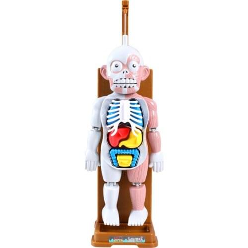 Young Zeal Zion Funny Toys