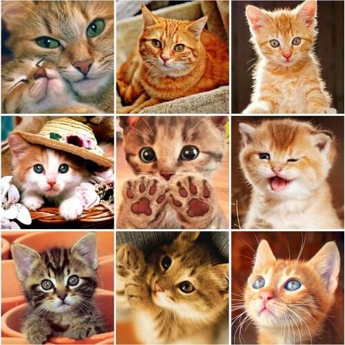 5D Diy Diamond Painting Cat Rhinestone Picture Diamond Embroidery Animal Cross Stitch Mosaic Home Decoration Gift