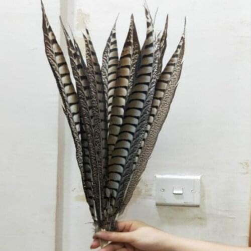 New! Wholesale 50 pc quality natural Lady Amherst Pheasant feathers, 14-16inches / 35-40cm, DIY jewelry decoration