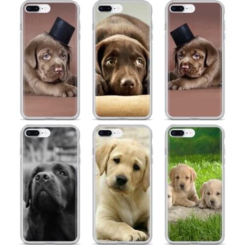 Soft TPU Silicone Phone Cases Bags For Xiaomi Redmi 2 S2 3 3S 4 4A 5 5A 5 6 6A 7A 9 9T 9C 9A Pro Pocophone F1 funny labrador dog