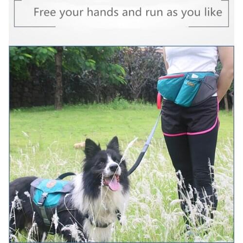 Large-capacity pet dog snack bag waist decoy running portable dog leash walking belt outdoor pet training waist bag