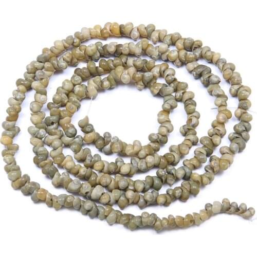 Natural shell Beaded Conch shape craft shell beads For jewelry making DIY Bracelet necklace accessories fish tank landscape