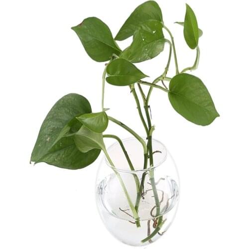 LBER Transparent Glass Vase Wall Hanging Hydroponic Terrarium Fish Tanks Potted Plant Flower pot Dia 8/10CM