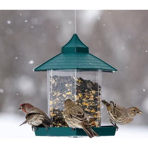 Bird Feeder Outdoor Pet Wild Food Container Park Garden Home Rearing Holder Birds Supplies Pavilion Green