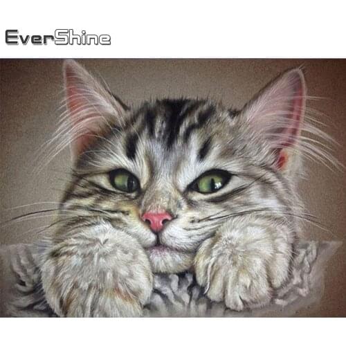 Evershine Diamond Painting Sale Cat Cross Stitch Kit Diamond Embroidery Animals Mosaic Pictures Of Rhinestones Home Decoration