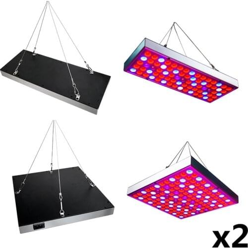 Фитолампы для растений NIN FULL China At AliExpress