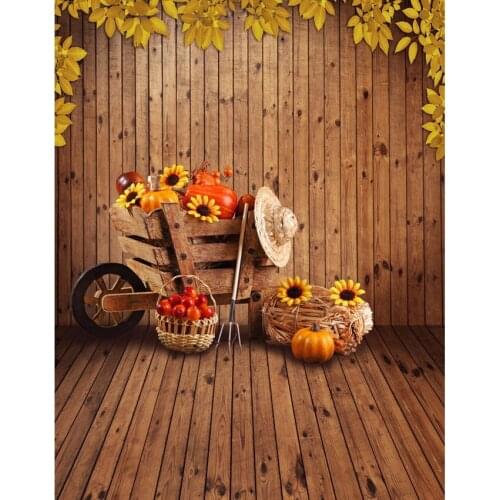 LIFE MAGIC BOX Photography Backdrops For Photo Studio Fruit Cart Baby Shower Dessert Table The Background S-2213