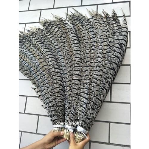 Wholesale 100pcs high quality natural Lady Amherst Pheasant Feathers 80-90cm/32-36inch Wedding Accessories Stage performance diy