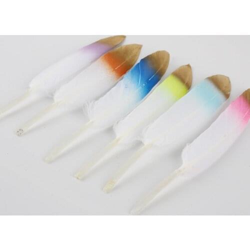 Younuoqi Decorative Feathers