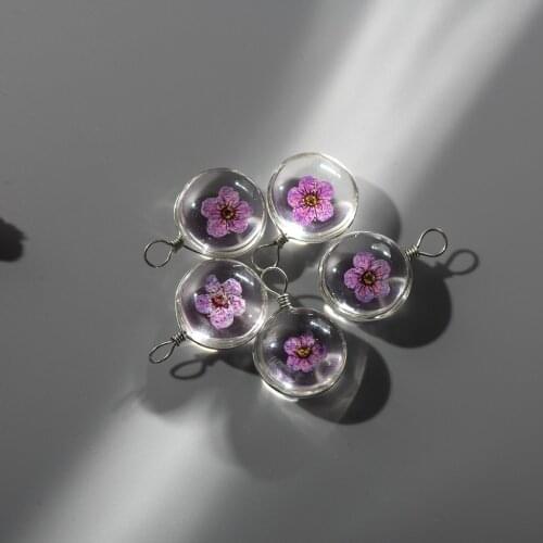 18# Alloy Hook Flat Glass Ball Dried Colored Flower Inside With Hook #GY412