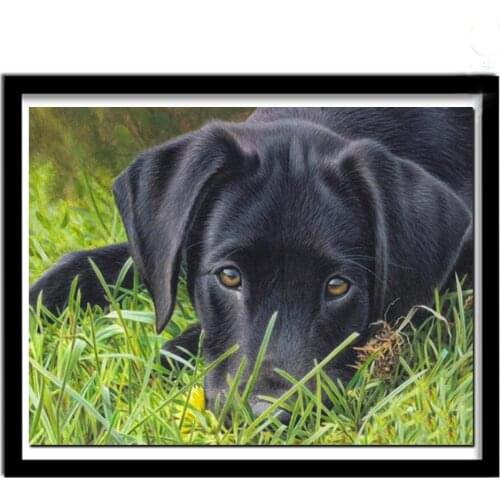 Black Labrador 5D Round Square Embroidery Diy Full Diamond Painting Sets Mosaic Puppy Dog Pictures Rhinestone Art