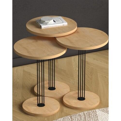 2021 modern coffee table coffee table coffee table Nola Zigon Coffee Table-Oak