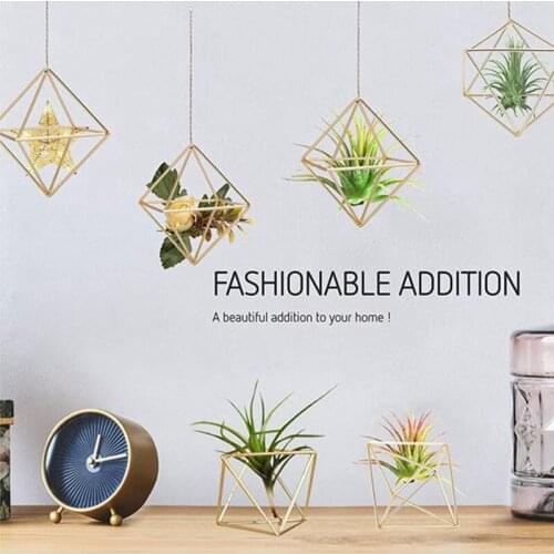 8 Pack Air Plant Holder Tillandsia Air Plants Stand Hanging Containers Display Racks Hanging Tabletop Himmeli Decor