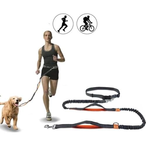 Elastic Dog Running Belt Leash Set Hands Free Bungee Retractable Pet Leashes Jogging Training For Medium Large Dog Supplies