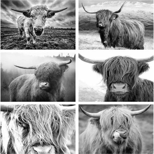 HUACAN 5D Diamond Painting Full Square Cow Diamond Embroidery Animal Black And White Home Decoration