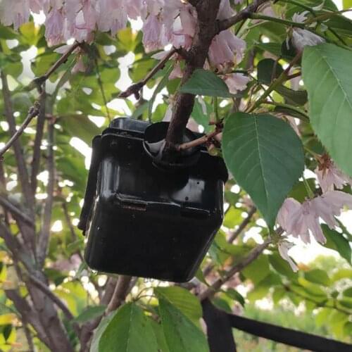 New 5pcs Plant Rooting Ball Plant Root Growing Box Grafting Rooting Growing Box Breeding Case For Garden