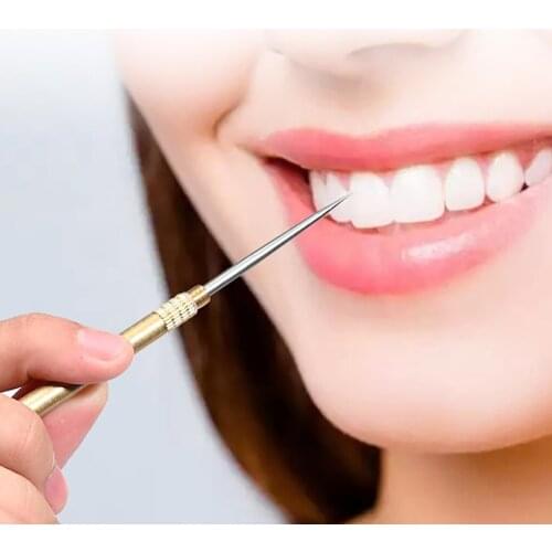 2Pcs Toothpick Detachable Metal Fruit Fork Portable Outdoor Tooth Cleaning Accessory for Camping Hiking