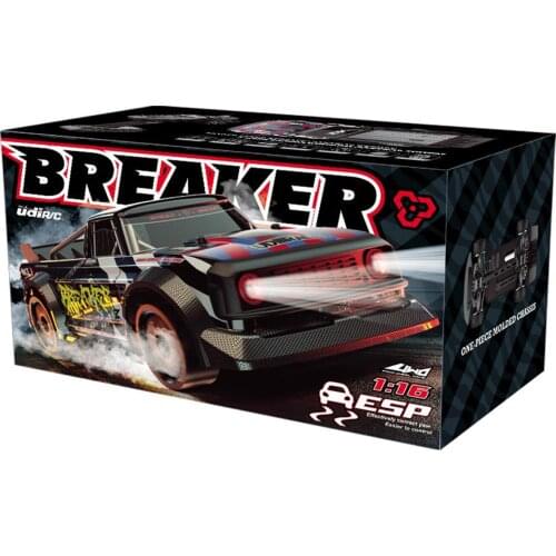 RC Racing Car 1:16 30km/h High Speed Flat Running Rally Car Gift