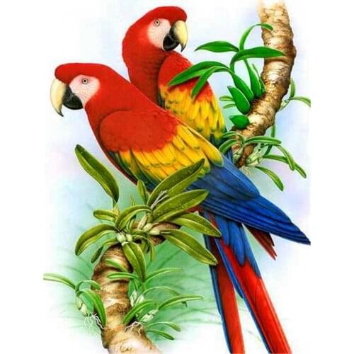 Bird Parrot Animal DIY Embroidery Cross Stitch 11CT Kits Craft Needlework Set Cotton Thread Printed Canvas Home Design