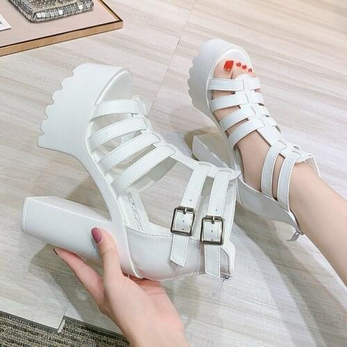 2020 New Summer Open Toe Platform Shoes Women Waterproof Casual Ladies Shoes PU Buckle Strap 14CM Thick High Heels shoes women