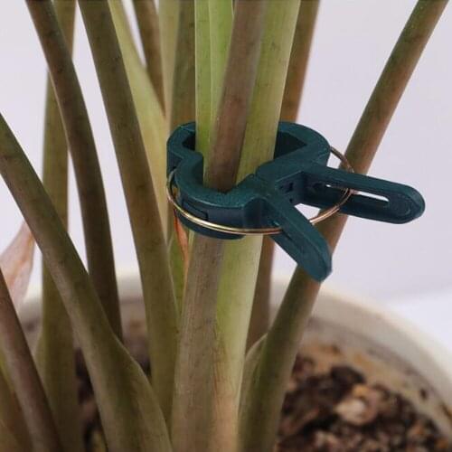 20Pcs Reusable Garden Plant Fixed Clip Vines Grape Support Fastener Vegetables Flowers Tied Buckle Clamp Greenhouse Bracket