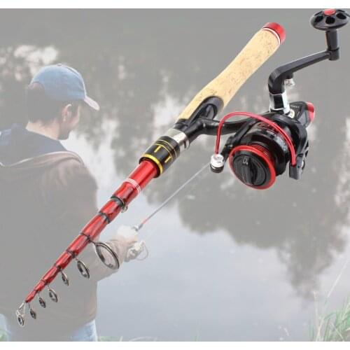 1.6M-2.7M wooden handle Carbon Fishing Rod Telescopic wooden handle Spinning Fishing Rod and Spinning Reels Multifunction set