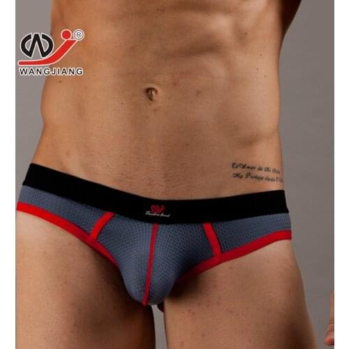 2017 new style WJ brand gay underwear Comfortable after low waist sexy mesh breathable air dew buttocks briefs sexy underpants