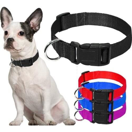Nylon Dog Collar Small Dog Collars Cheap Pet Collar for Small Medium Dog Cat Pet blue/red/purple/black 4 Size