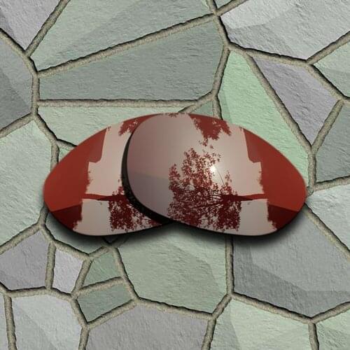 Bronze Brown Sunglasses Polarized Replacement Lenses for Oakley X Metal XX