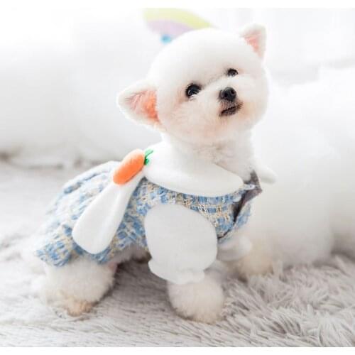 Dog Clothes New Style Small Fragrant Wind Autumn and Winter Woolen Skirt Puppy Princess Dress Small Dog Dress Cat Pet Clothes