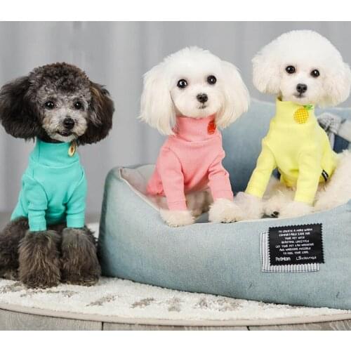 Pet Clothes Fruits Bottoming Shirt Dog Clothes Autumn Winter Winter Pet Fruits Bottoming Shirt Jacket Coat Jumpsuit for Dog