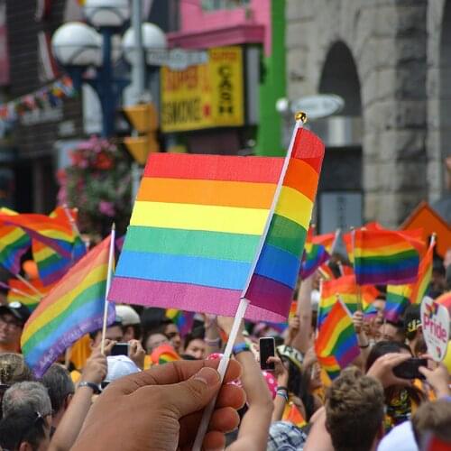 10/30 PCS/Pack Demonstration Hand Waving Flags Easy To Hold Mini Small Rainbow Flags With Flagpoles For Rainbow Parade Festival