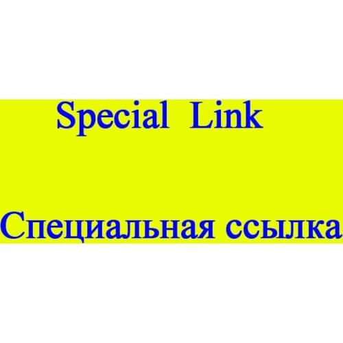 Extra Fee, Don't Buy. Won't Ship. If needed, we will tell you to buy this link. Thank you. China Post Ordinary Small Packet