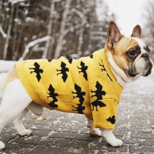 ORANGE LEAF Sweaters For Dogs