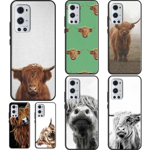 Highland Cows For OPPO Realme 6 7 8 Pro Q3 GT Neo C3 C11 C21 Case For OnePlus 9 Pro 7 8 Pro 8T 9R Nord