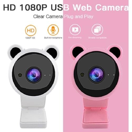 VESAFE Webcams