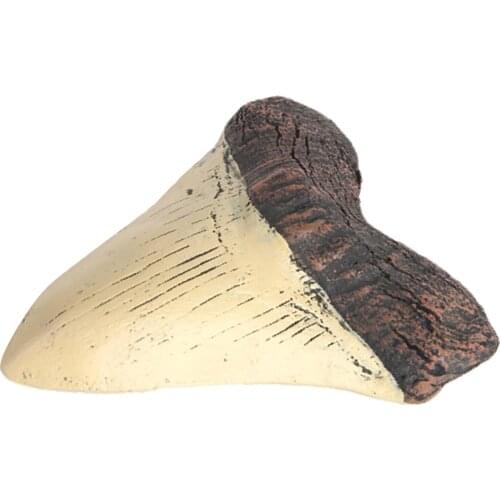 Realistic Shark Teeth SKULL Sculpture Handcraft Horrible Home Decor Ornament