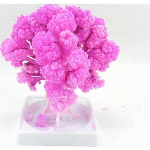2PCS 2020 10x8cm Artificial Magical Grow Paper Sakura Trees Magic Growing Tree Japan Desktop Cherry Blossom Toys For Children