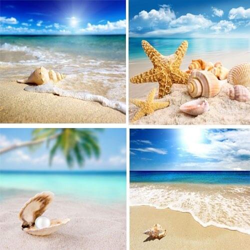 4 Piece Modern Seascape shells Canvas Print Artwork Landscape Sea Beach Pictures Canvas Paintings Wall Art for Home Decorations