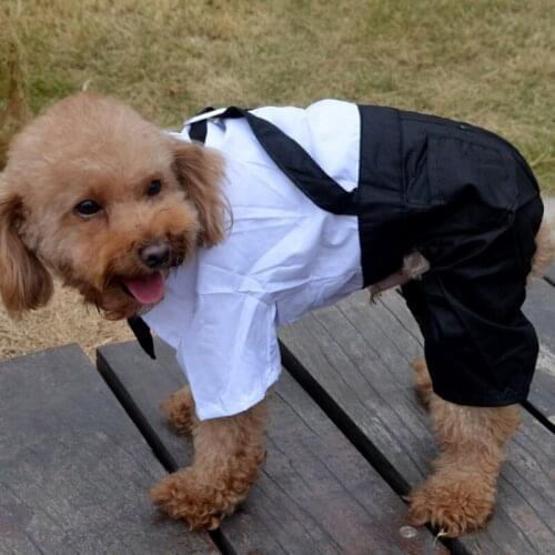 Dog Shirt Suit Bright Collar Pet Cat Teddy Puppy Dog Clothes Dress Wedding Photo Fake Two-piece Shirt Suit-tuxedo Dog Clothes