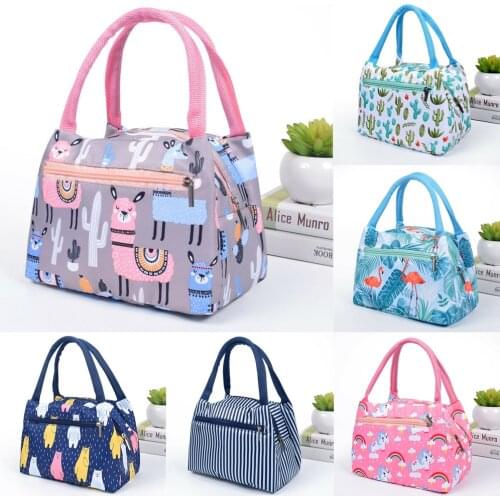 Adults Women Girls Portable Insulated Lunch Bag Box Picnic Waterproof Tote