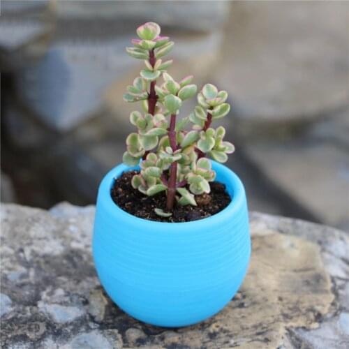 Cute Mini Plastic Flower Pot Plant Pot Succulent Resin Basin Desktop Decorative Planters Home Office Decoration Garden Supplies