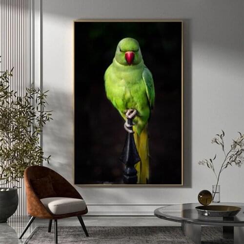 Abstract Funny Animals Canvas Painting Green Parrot Posters and Print Classical Bird Wall Art Picture for Living Room Home Decor
