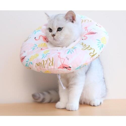 Ошейники Effosola China At AliExpress