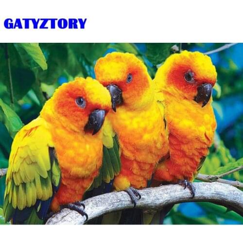 GATYZTORY Painting By Numbers Yellow Parrot Animal Diy Room Wall Art Pictures By Number For Adults Home Decoration 50x40cm