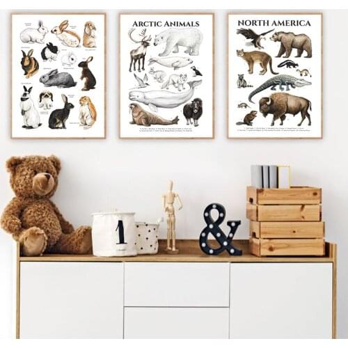 Arctic Animal Eagle Shark Tropical Fish Wall Art Canvas Painting Nordic Posters And Prints Wall Pictures For Living Room Decor