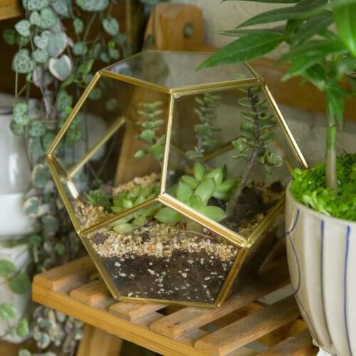 NCYP Modern Desktop Gold Pentagon Ball Shape Glass Open Sphere Geometric Glass Terrarium Succulent Plants Planter Decor Pot