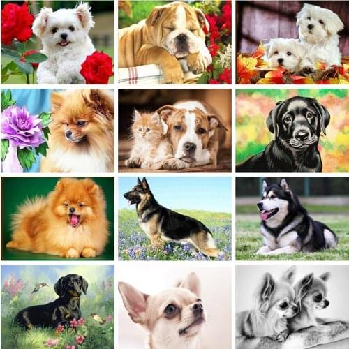 2021 Diamond Painting Dog 5D DIY Full Round Drill Diamond Embroidery Animals Cross Stitch Kit Home Decoration Handmade Gift