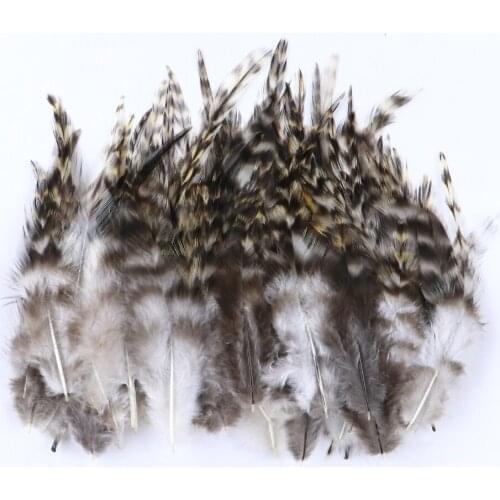 4-6/6-8 Inches Natural Rooster Feathers For Diy Jewelry Making Decoration Accessories Pheasant Chicken Crafts Plume 50PCS/lot